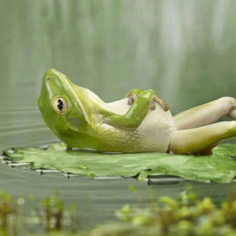 davidseamer@live.com